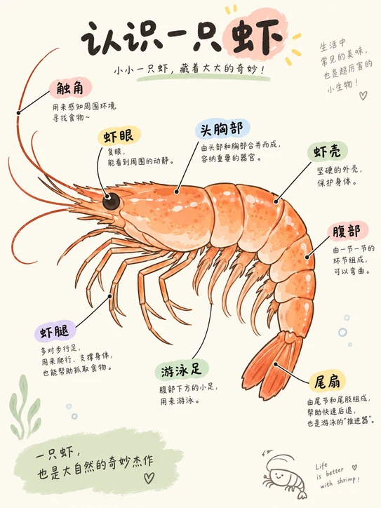 IG-002 中心主图标注信息图